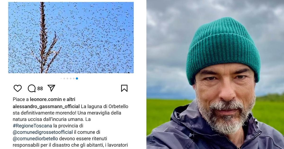 Alessandro Gassmann Si Schiera Contro L Emergenza Moscerini In Laguna