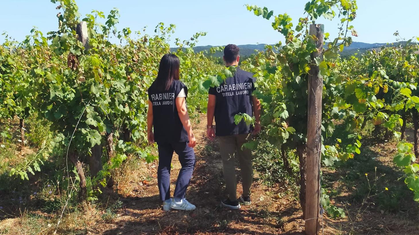 L'inferno dei braccianti in Maremma: 26 persone in un rudere e paghe da fame