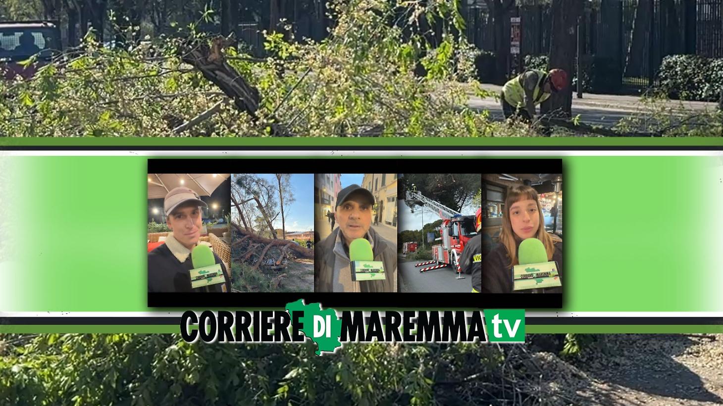 Pini s&igrave; o no? La citt&agrave; si divide, ma tra pericoli e strade devastate agire &egrave; inevitabile