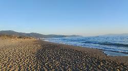 Grosseto, multa da 115 euro al Parco della Maremma: fa ricorso ma nessuno gli risponde. La disavventura di un turista
