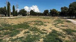 Grosseto, il parco del Diversivo ancora nel mirino dei cittadini: "Manca l'irrigazione, le piante soffrono"