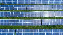 Grosseto, Cia: "Agrivoltaico, la nostra soluzione garantisce la produzione agricola e il benessere del bestiame"