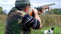 Scarlino, tesserini venatori: consegna al via: tutte le informazioni utili