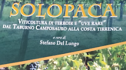 Grosseto, Festambiente: il vino di Solopaca, dimenticato per oltre mezzo secolo, torna protagonista grazie a Ais
