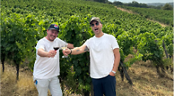 Magliano in Toscana, l'Antico Vinaio ha il suo vino: Tommaso Mazzanti acquista un'azienda vinicola in Maremma