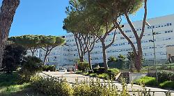 Grosseto, turismo estivo e sanità al collasso: Ulmi (Merito e lealtà) propone una soluzione