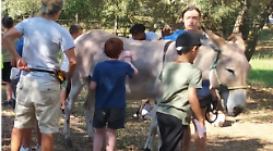 Scarlino, l'estate dei ragazzi tra sport, cultura e contatto con la natura: Scarlinando è un successo