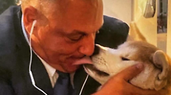 Grosseto, nella Giornata del cane l'appello del sindaco Vivarelli Colonna: "Non abbandonate gli animali, amateli" 