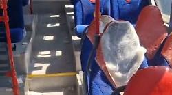 Castiglione della Pescaia, atti vandalici sugli autobus Autolinee Toscane: i sindacati: "Più controlli o incrociamo le braccia"