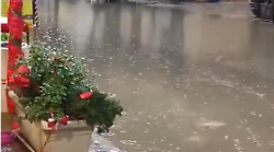 Grosseto, acquazzone e grandine su Marina: strade sommerse. "Solite due gocce d'acqua e solito allagamento"
