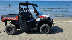 Orbetello, cani lasciati liberi fuori dalle bau beach: multe da duecento euro per quattro proprietari