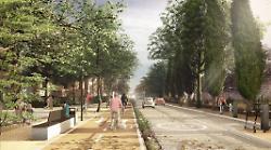 Grosseto, greenway via De' Barberi: "Tigli compromessi, saranno abbattuti e sostituiti con altre alberature"