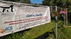 Gavorrano, ottobre mese intenso per le tante attività del Centro Cinofilo Newfoundly
