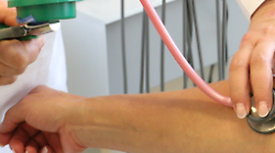 Grosseto, nuovo numero per la Guardia medica: nel primo giorno 172 chiamate