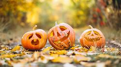 Grosseto, Halloween si o Halloween no: il Comune propone un menù nelle scuole per festeggiare l'occasione