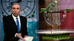 Il caso Tortora e il massacro di Ponticelli: errori giudiziari o verit&agrave;? Il servizio di gioved&igrave; 31 ottobre de Le Iene