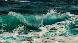 Maremma, G20Spiagge: il cambiamento climatico stravolgerà la vita delle spiagge italiane