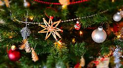 Grosseto, Il Natale nel centro storico dura di più: si parte con l'accensione dell'albero in piazza Duomo. Il programma completo