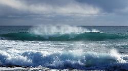 Maremma, attenzione al forte vento: scatta l'allerta meteo arancione