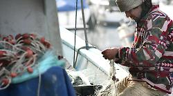 Giornata mondiale della pesca, c'erano anche i pescatori di Orbetello e Monte Argentario all'udienza di Papa Francesco
