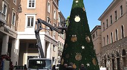 Grosseto, in piazza arriva l'albero di Natale. Al via la discussione