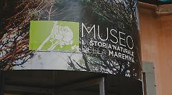 Grosseto, si parla di archeologia e paleontologia al Museo di storia naturale della Maremma