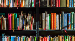 Orbello, approvato l'atto di indirizzo per la gestione dei servizi bibliotecari