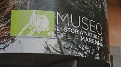 Grosseto, il Museo di storia naturale della Maremma propone due visite speciali 