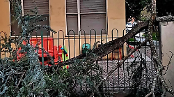 Braccagni, caduto un altro ramo nella scuola. Occupato il marciapiede e una parte della strada