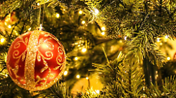 Grosseto, all'Aurelia Antica arriva il primo contest social sugli alberi di Natale 