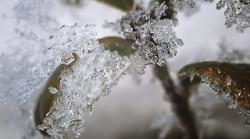 Maremma, attenzione al ghiaccio: c'è l'allerta meteo della Regione Toscana