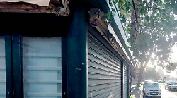 Il sasso nello stagno. Qualcosa si muove