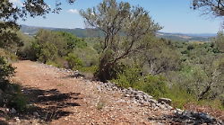 Grosseto, il Parco della Maremma organizza un'escursione nel Bosco di Spaccasasso