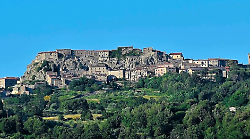 Roccastrada, tragedia nel bosco. Un uomo di 56 anni perde la vita 