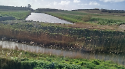 Capalbio, il Comune e il Consorzio di Bonifica intervengono sullo scolmatore del canale delle Basse