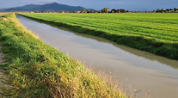 Gestione efficace del maltempo: il Consorzio di Bonifica 6 Toscana Sud preserva la sicurezza idraulica del territorio