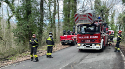 Rami e alberi pericolanti sulle strade, intervento dei Vigili del fuoco sulla Strada provinciale 78 a Montieri