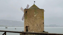 Al via la derattizzazione straordinaria lungo via Mura di Ponente