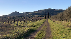 'Via delle Città Etrusche': nuovi canali social per valorizzare il patrimonio storico e turistico della Maremma