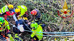 Un uomo e il suo cane sono stati salvati dai Vigili del Fuoco dopo la caduta in un dirupo