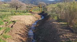 Consorzio 6 Toscana Sud: interventi di bonifica e manutenzione nel fosso Molinaccio