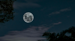 La luna piena più lontana e meno luminosa dell'anno: un evento da non perdere
