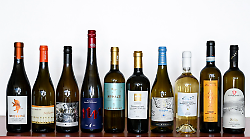 Che successo a Vinitaly per la Doc Maremma Toscana: vermentino e tortello conquistano il pubblico
