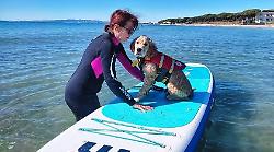 Un corso di Dog SUP organizzato dal Centro Cinofilo Newfoundly