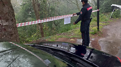 Scoperto smaltimento illegale di rifiuti in un bosco: impresa edile nei guai a Scansano