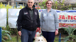 Al via la 2° tappa del Campionato espositivo cinofilo amatoriale con premi e divertimento per tutti i cani