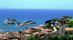 Arrivano i delfini: un inno alla libertà in occasione della Festa della Liberazione 