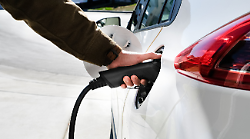 Il cimitero dell'auto &egrave; il parco giochi per gli stranieri