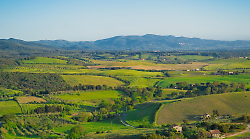 Linea Verde Discovery riparte dalla Toscana: un viaggio tra colline da sogno e il tessile Made in Italy 