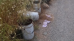 Discarica abusiva nella strada delle Bucacce: i residenti chiedono un intervento urgente